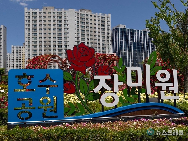 호수공원 장미원. /사진제공=김포시
