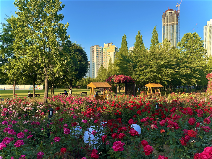 송도 해돋이공원. /사진제공=인천시
