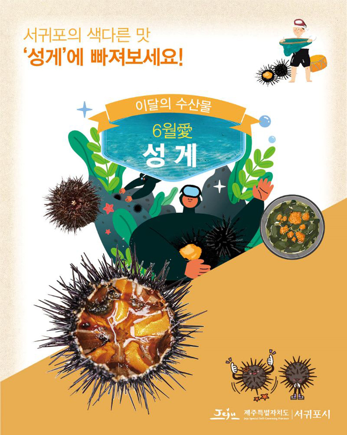 제주 서귀포시 이달의 특산물 이미지