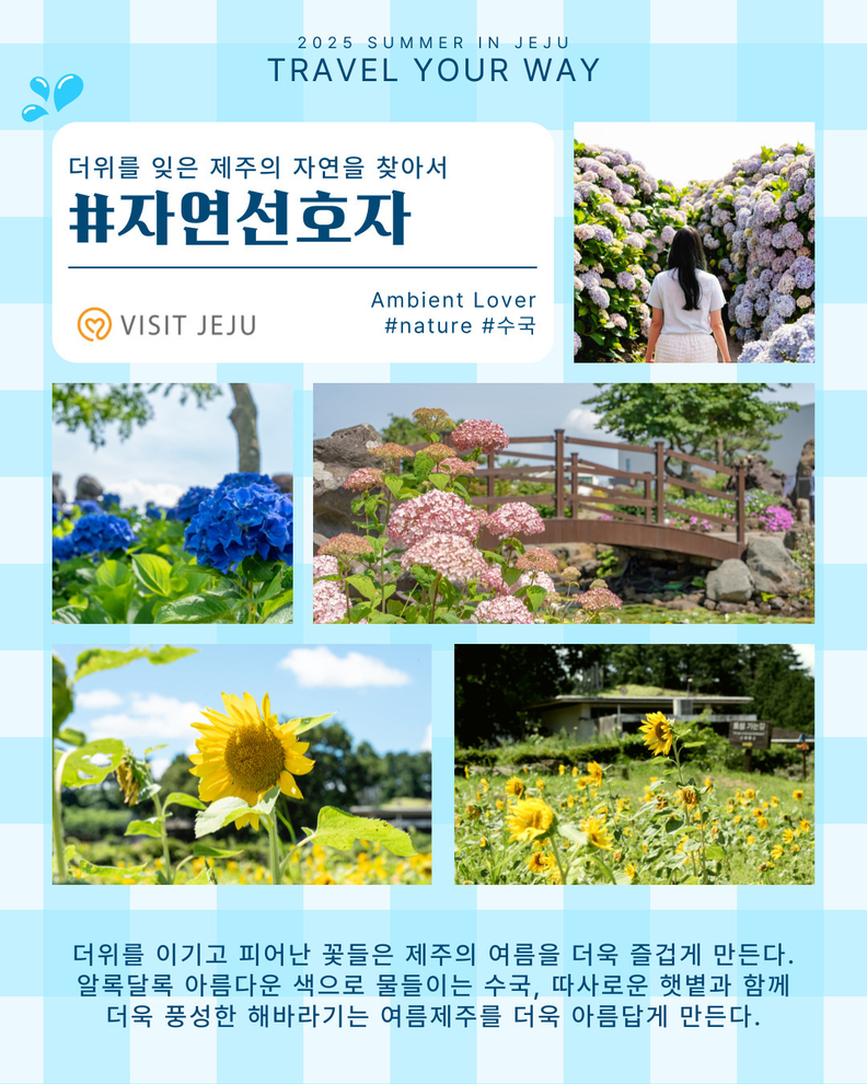 #자연선호자 <더위를 잊은 제주의 자연을 찾아서> 리플릿