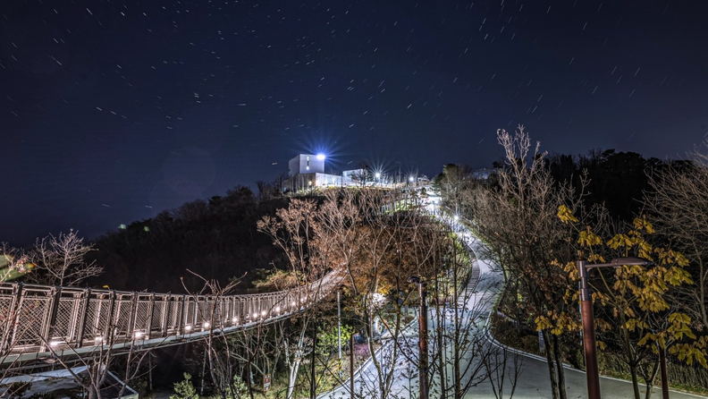 애기봉평화생태공원 야간 전경. /사진=김포시