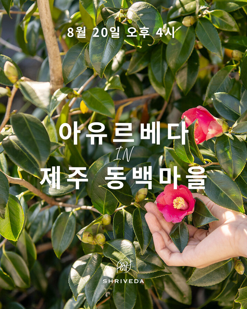 프로그램 포스터(아유르베다 in 제주동백마을 클래스)