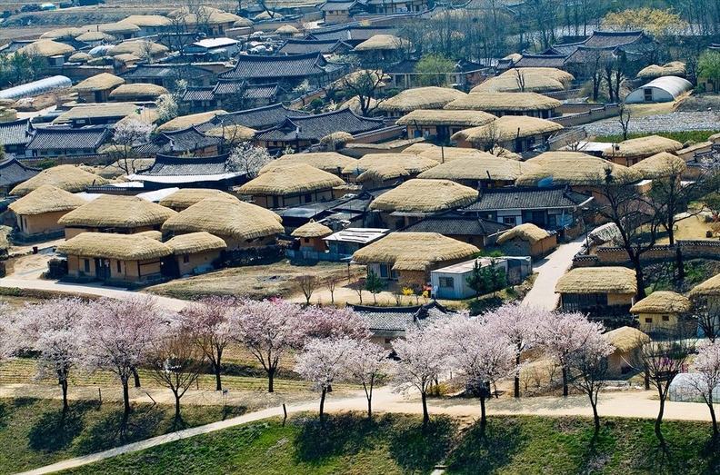 안동 하회마을. /안동시