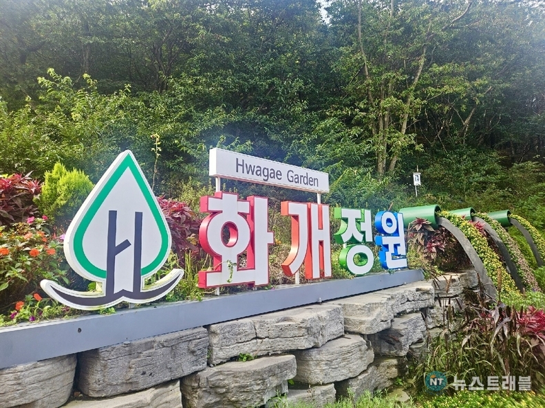 사진=시민 제공