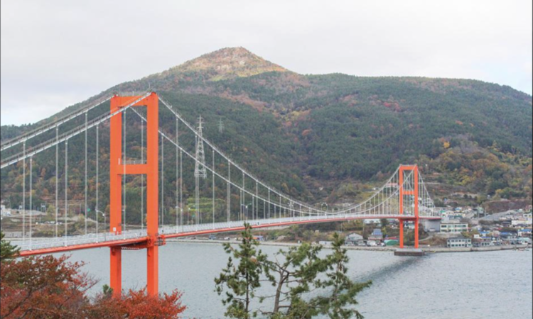 [해외 감성 로컬 기획 ⑮] 남해에서 만난 넬슨, 바다의 색으로 기억되는 여행