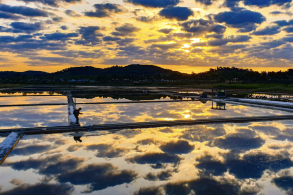 [금단의 여행지–한국편⑩] 사라진 도시의 심장 – 인천 소래 염전