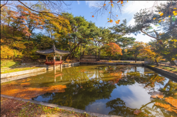 [NT 특집] 2025-2026 한국관광 100선 ③ 서울 5대 궁궐 – 창덕궁