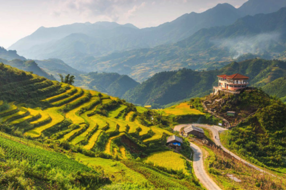 안개와 계단식 논의 심포니, 사파