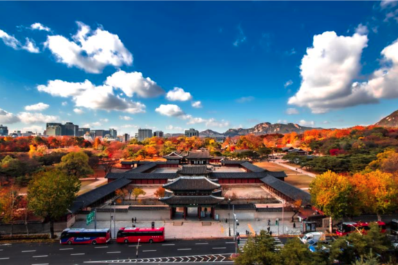 [NT 특집] 2025-2026 한국관광 100선 ④ 서울 5대 궁궐 – 창경궁