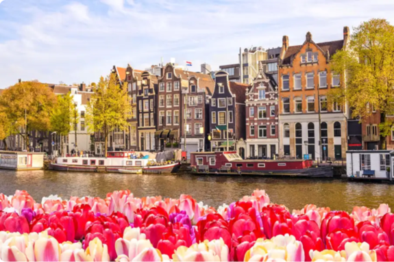 물길 위에 세워진 도시, 암스테르담